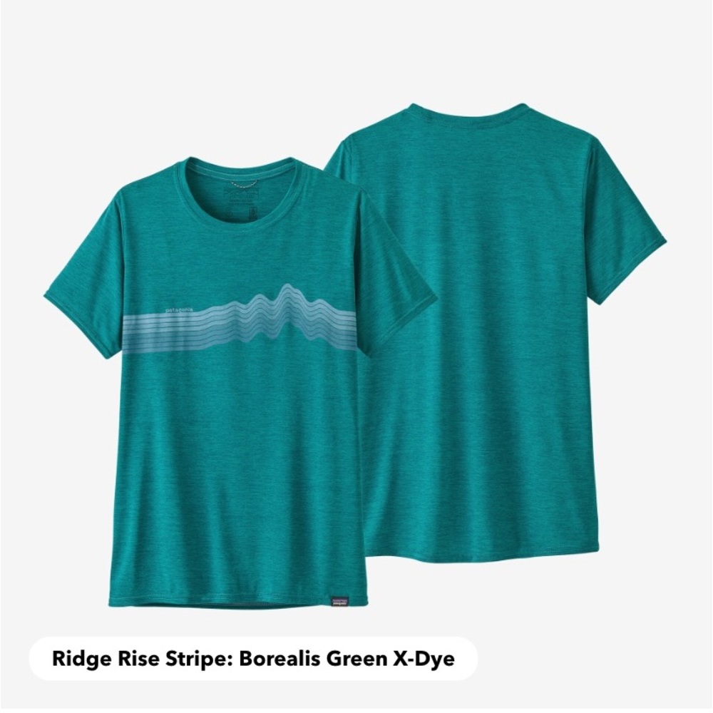 Patagonia Women’s Capilene Cool Daily Graphic workout/running shirt - M